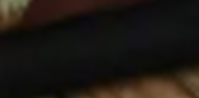 Dragonfly Coal Jacquard Fabric