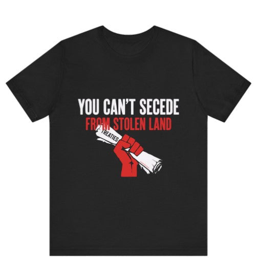 You Can't Secede Transfer (Various Sizes)